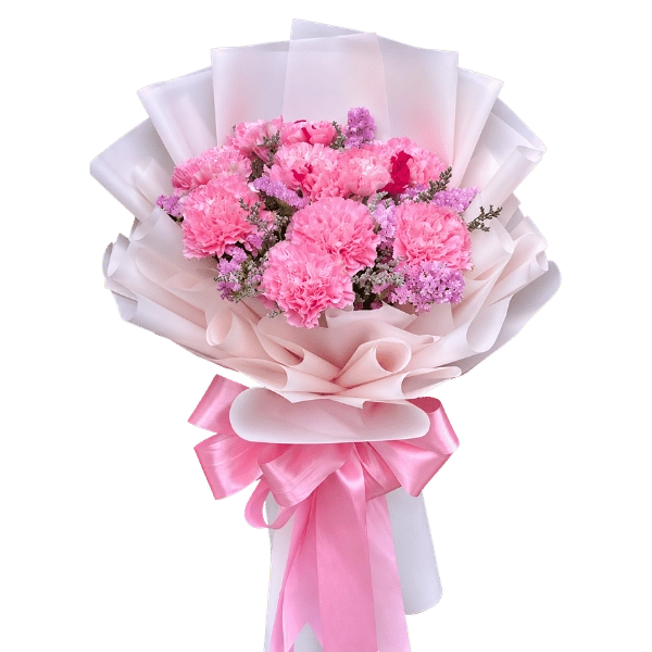 CARNATION PINK 1