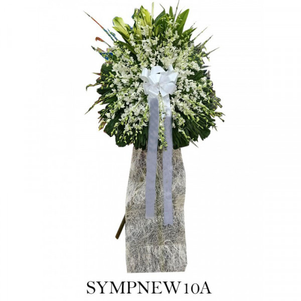 SYMPNEW10A