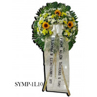 SYMP-1L10  SYMP-1L10...