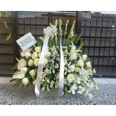 VASE-24 VASE-24...