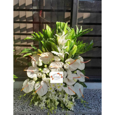 POTFLOWERS-1 POTFLOWERS-1...
