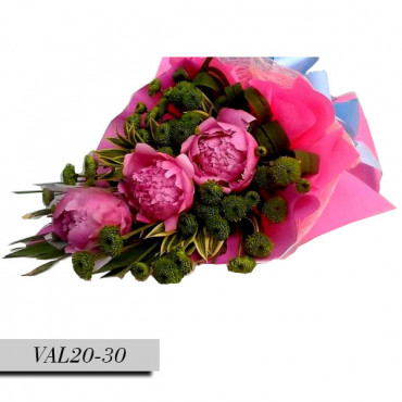 PEONIES-DANILA PEONIES-DANILA...