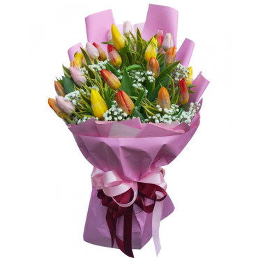 TULIPS-24 TULIPS-24...