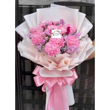 CARNATION PINK 1 CARNATION PINK 1...
