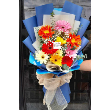 GERBERAS-2 GERBERAS-2...