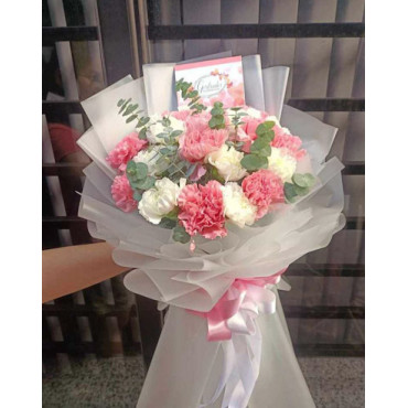 CARNATION-15 CARNATION-15...