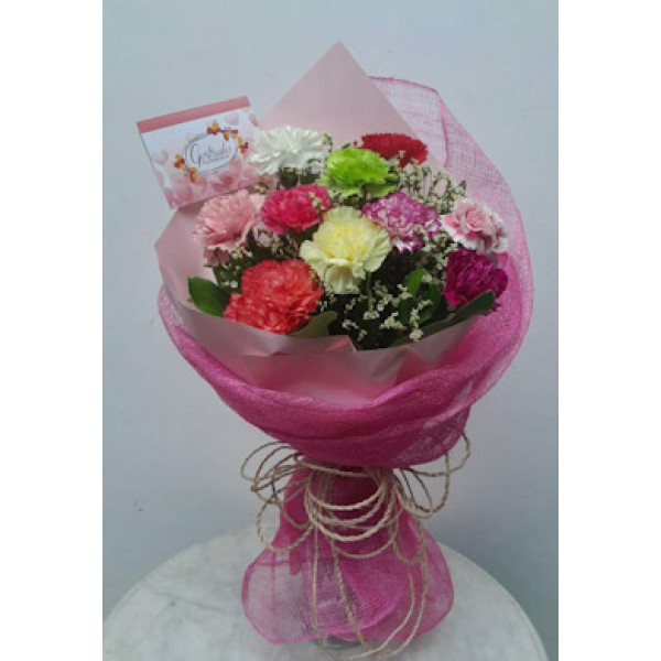CARNATION-11