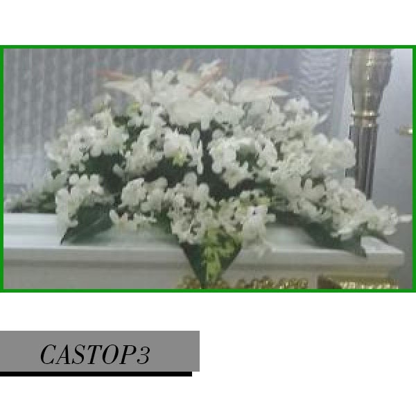 CASTOP3