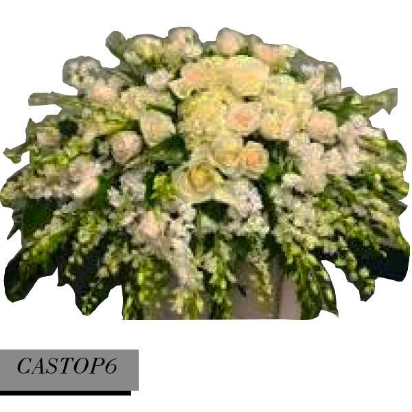 CASTOP6