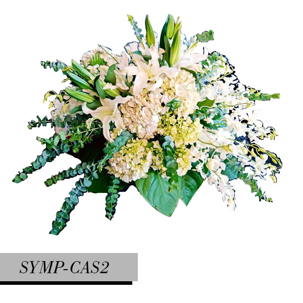 SYMP-CAS2