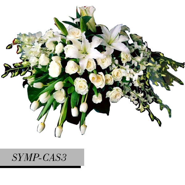 SYMP-CAS3