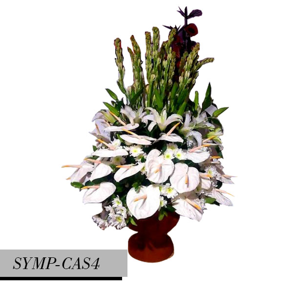 SYMP-CAS4