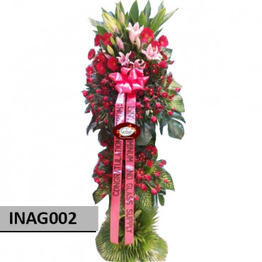 INAG002 INAG002...