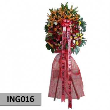 INAG016 INAG016...