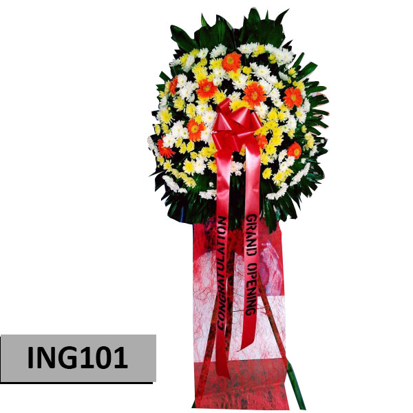 INAG101
