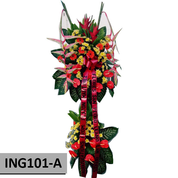 INAG101-A