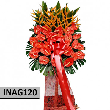 INAG120 INAG120...