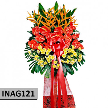 INAG121 INAG121...