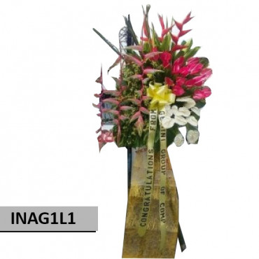 INAG1L1 INAG1L1...
