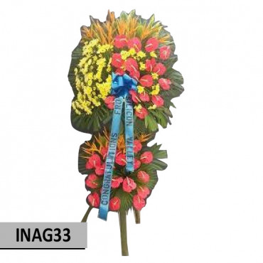 INAG33 INAG33...