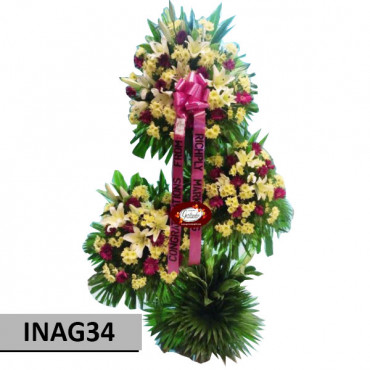 INAG34 INAG34...