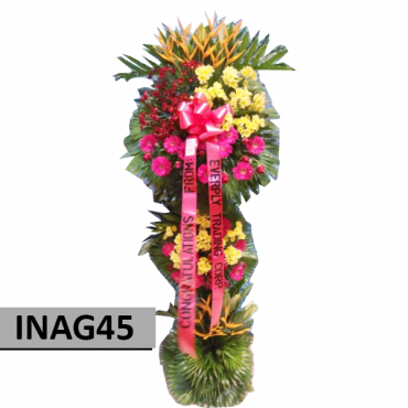 INAG45 INAG45...
