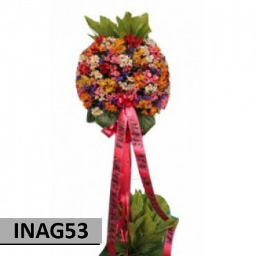 INAG53 INAG53...