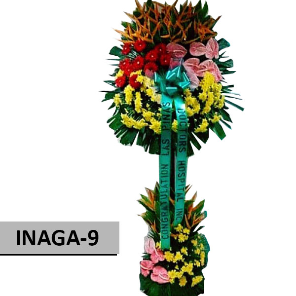 INAGA9