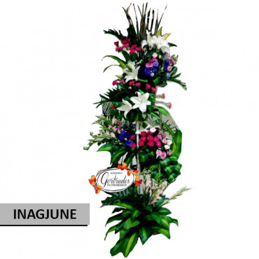 INAUGURAL-JUNE INAUGURAL-JUNE...