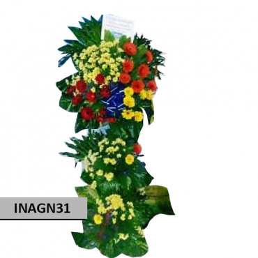 INAGN31 INAGN31...