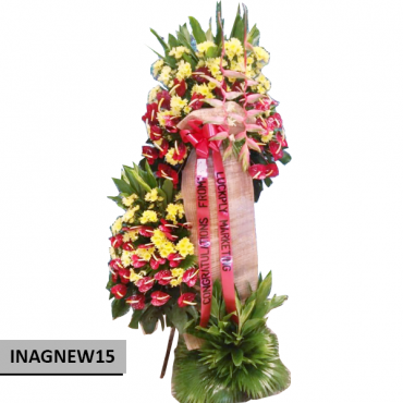 INAGNEW15 INAGNEW15...