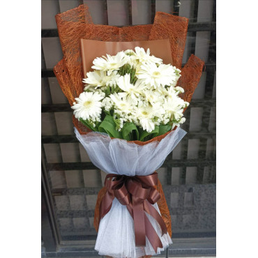 GERBERAS-1 GERBERAS-1...