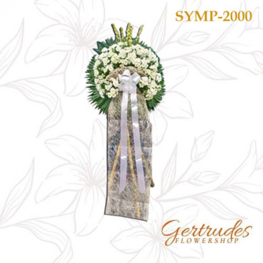 SYMP-2000 SYMP-2000...