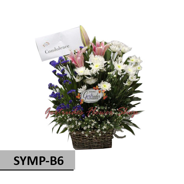 SYMP-B6