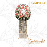 SYMP1L100 SYMP1L100...