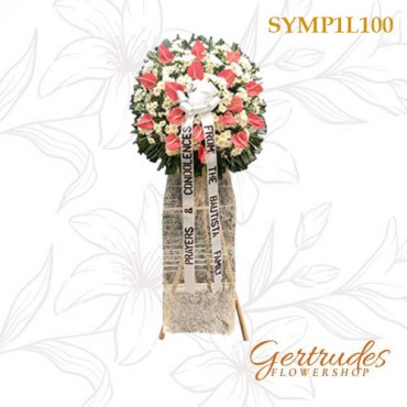 SYMP1L100 SYMP1L100...