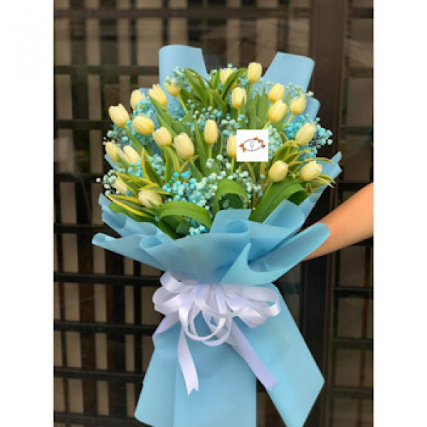 TULIPS-16A