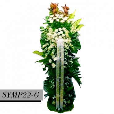 SYMP22-G SYMP22-G...