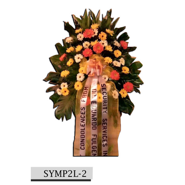 SYMP2L-2