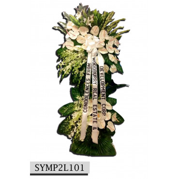 SYMP2L101 SYMP2L101...