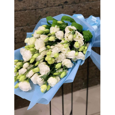 VAL-LISIANTHUS1 VAL-LISIANTHUS1...
