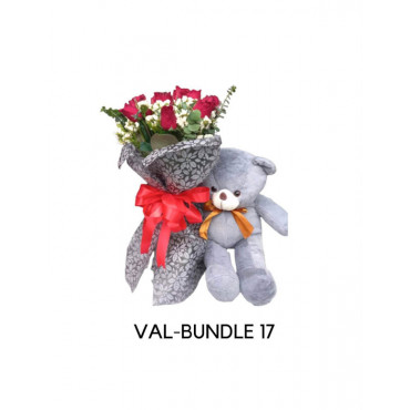 VAL-BUNDLE17 VAL-BUNDLE17...