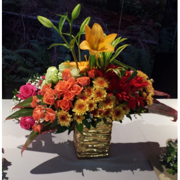 VASE-29 VASE-29...