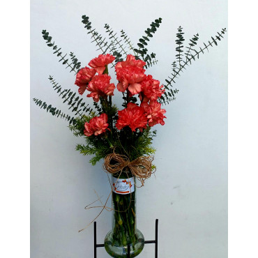 VASE-26 VASE-26...