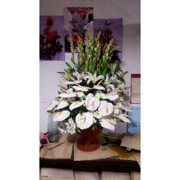 VASE-23 VASE-23...