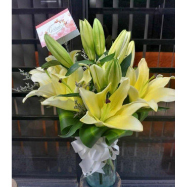 VASE-15 VASE-15...