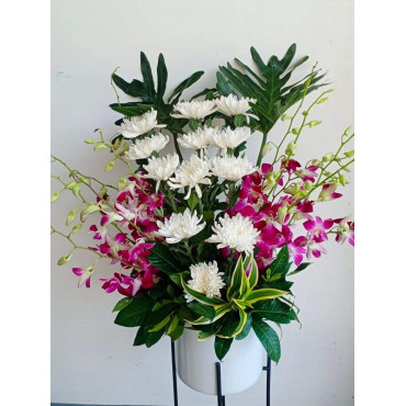 VASE-20 VASE-20...