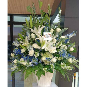 SPRAY-VASE 1 SPRAY-VASE 1...