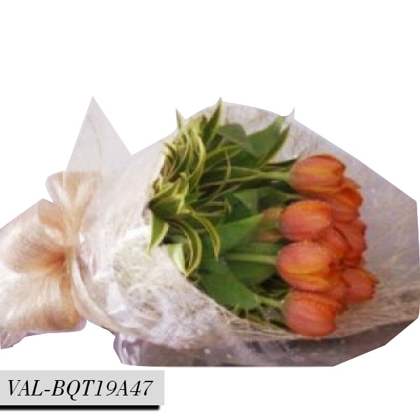 TULIPS-16