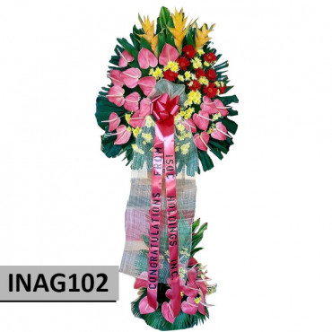 INAG102 INAG102...